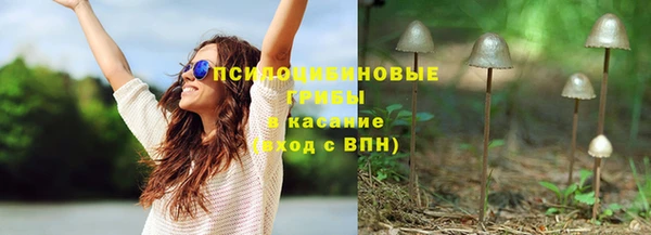 соль курить ск Горно-Алтайск