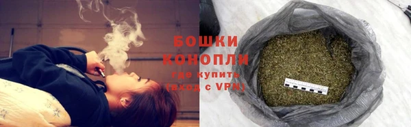 прущие крисы Пересвет
