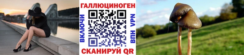 Галлюциногенные грибы MAGIC MUSHROOMS  Среднеуральск 